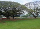 b Hilo Hawaii (30)